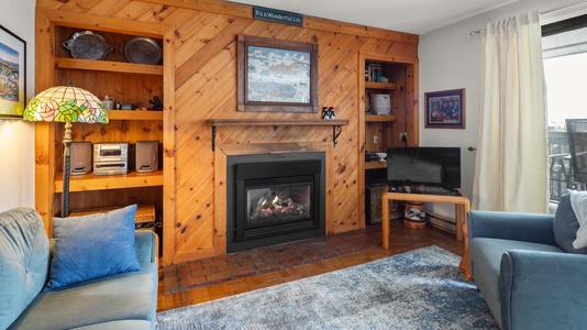 Cozy Gas fireplace with new living room furniture