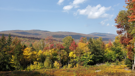 Fall views from the Deck