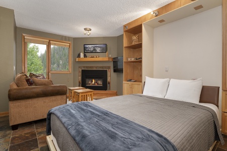 Aesthetic living room with a queen Murphy bed and a pull-out couch for extra comfort.