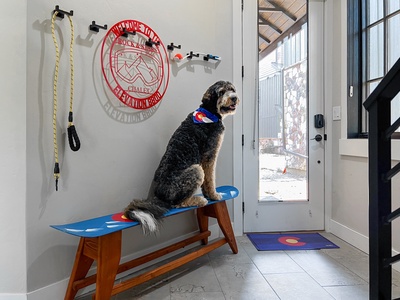 Rock & Stars Chalet is also dog friendly so you won't have to leave some family members behind.