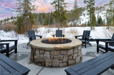 Common area shared Fire Pit