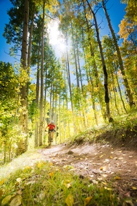 Epic mountain bike trails are all over this area