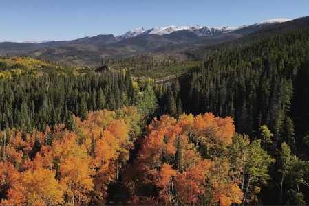 The truly amazing Fall Colors