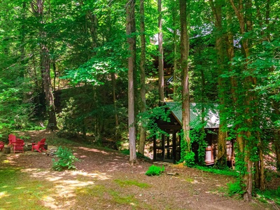 Babbling Brook -Back Yard View