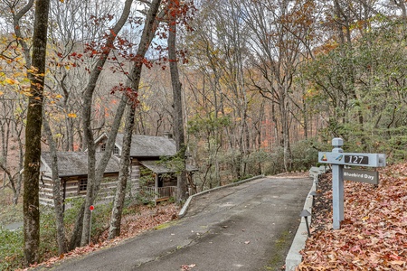 Bluebird Day - Road Leading to Exterior Cabin