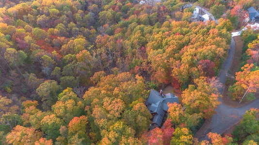 Saddle Lodge - Aerial