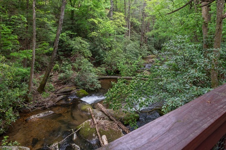 Tuckaway Cave - View of Fightingtown Creek From Deck (1)