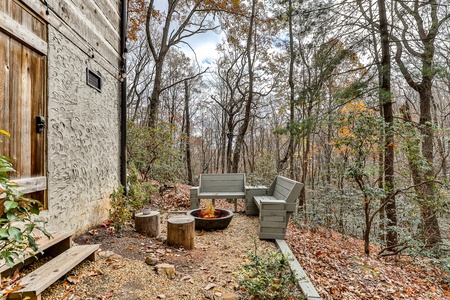 Bluebird Day - Outdoor Bench & Firepit