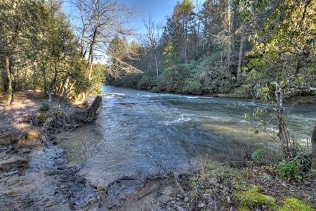 Hibernation Station- Stream view