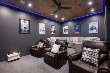 All In - Lower Level Theater Room