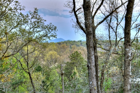 Sassafras Lodge- Long range mountain views