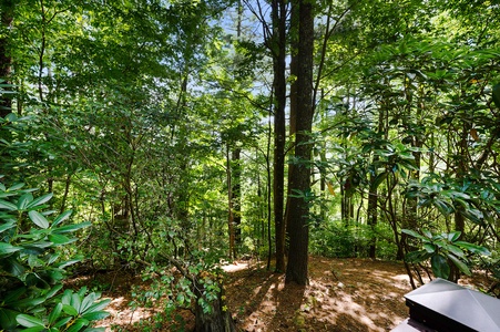 Creek Music Cabin - Deck View