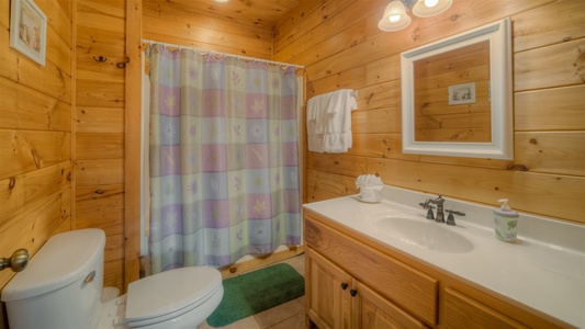 Pinecrest Lodge - Lower Level Bathroom