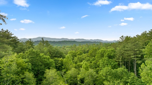 Rich Mountain Chateau Entry Level Deck View