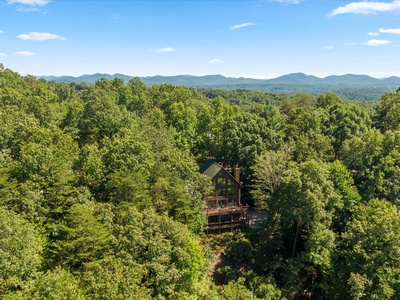 Bear Necessities- Aerial view of the cabin