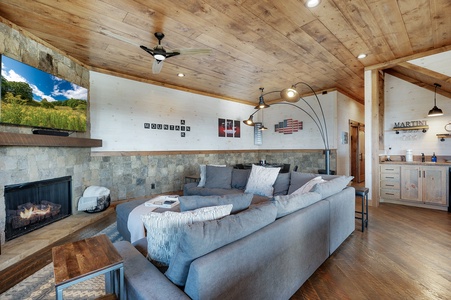 Lower-level Living Room