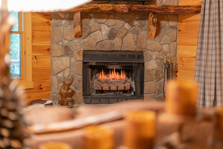 Hibernation Station - Living Room Fireplace