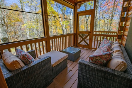 WineDown - Main Level Screened in Porch off Living Room