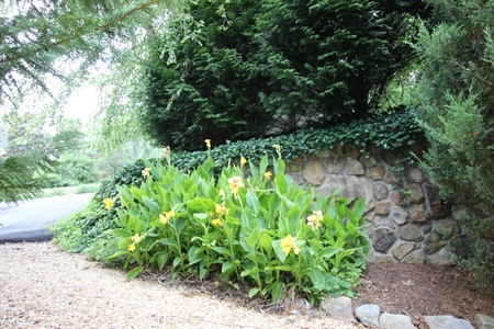 Blue Ridge Lake Retreat - Cottage Pathway