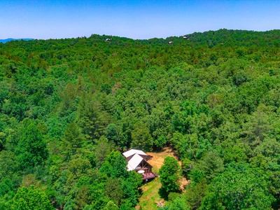 Hillside Hideaway - Forest Views