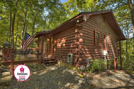 Bear Watch - Log Cabin in North Georgia Pink Stamp