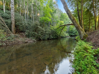 River Joy Lodge- Ellijay River View