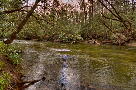 Reel Creek Lodge- Fightingtown Creek