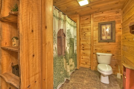 Aska Lodge- Lower level full bathroom with a toilet and step in shower