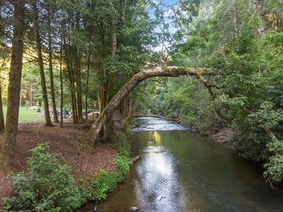 River Joy Lodge- Ellijay River View