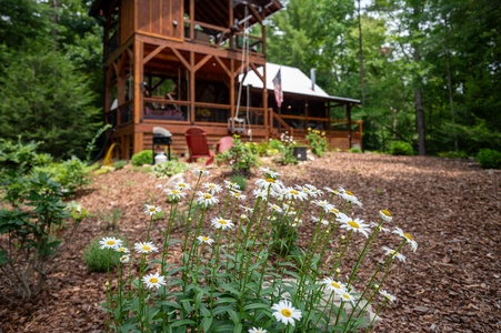 Three Loves Cabin - Manicured Lawn