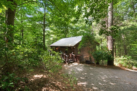 Creek Music Cabin - View from Forest