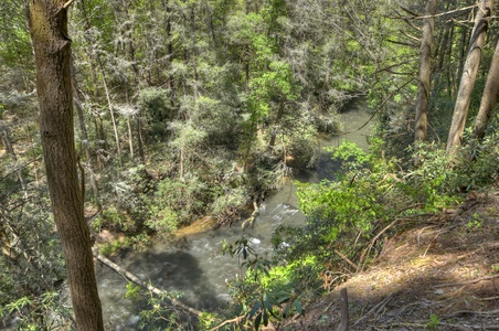 A Stoney River - Ellijay River