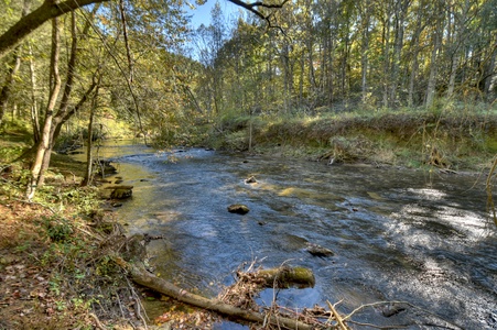 Creekside Bend- Creek