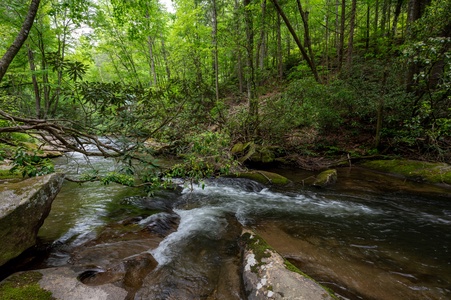 Tuckaway Cave - Fightingtown Creek Frontage