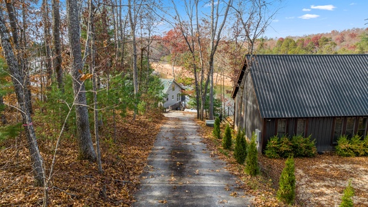 Blue Ridge Bliss - Driveway