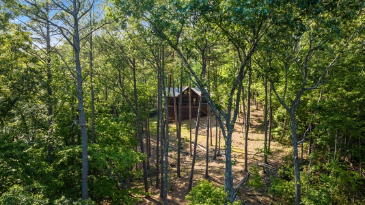 Lee's Lookout - Back of Cabin