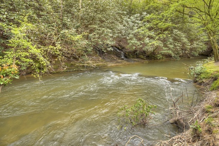 Hothouse Hideaway- Creek view