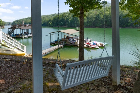 Lakeview Lounge - Backyard Swing