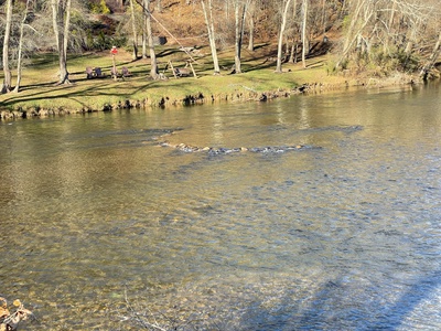 Feather Ridge - Toccoa River