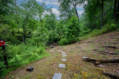 Millstone Haven - Path to Richie Creek