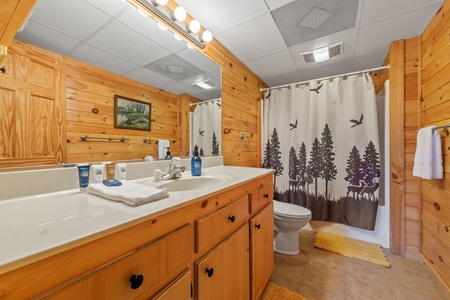 Choctaw Ridge - Lower Level Guest Queen Bedroom's Private Bathroom