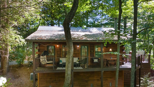 Creek Music Cabin - View from Driveway