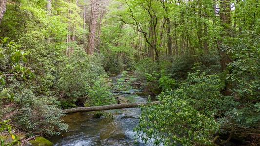 Tuckaway Cave - Fightingtown Creek