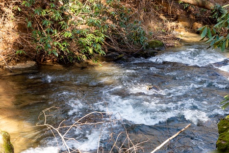 Bear Creek:  Dunn Mill Creek