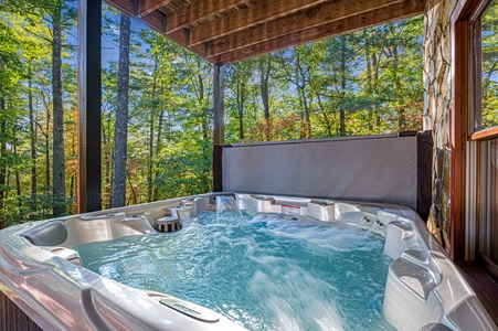 Palmer's Point - Lower Level Hot Tub