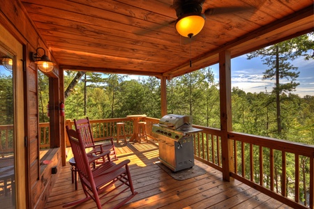 Point Of View - Deck with Gas Grill