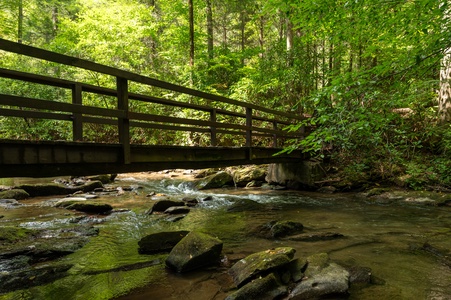 Paradise Found On The Banks of Fightingtown Creek