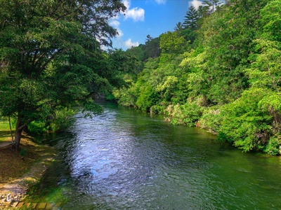 Take Me to the River - Toccoa River View