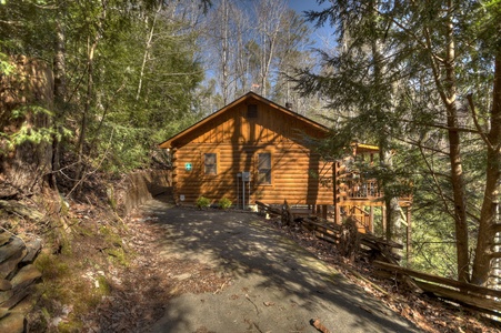 Traveller - Cabin in Cherry Log, GA