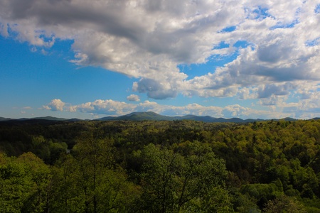 Privacy Peak - Forest and Mountain Views